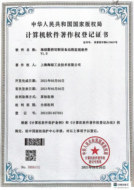 Çin Hyzont(Shanghai) Industrial Technologies Co.,Ltd. Sertifikalar