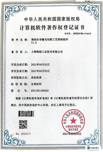 Çin Hyzont(Shanghai) Industrial Technologies Co.,Ltd. Sertifikalar