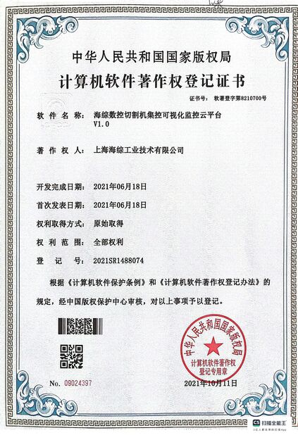 Çin Hyzont(Shanghai) Industrial Technologies Co.,Ltd. Sertifikalar